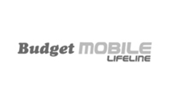 Budget Mobile Market Research Client